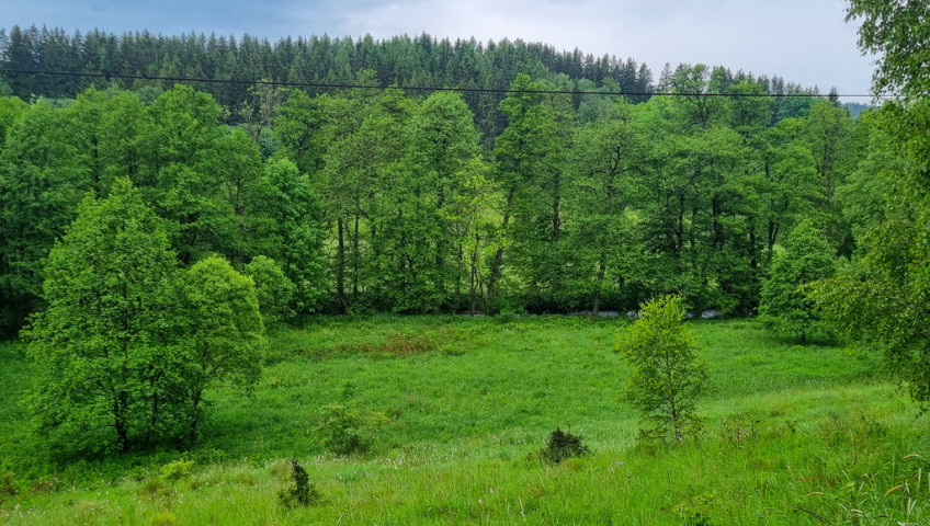 Działka Sprzedaż Niemojów