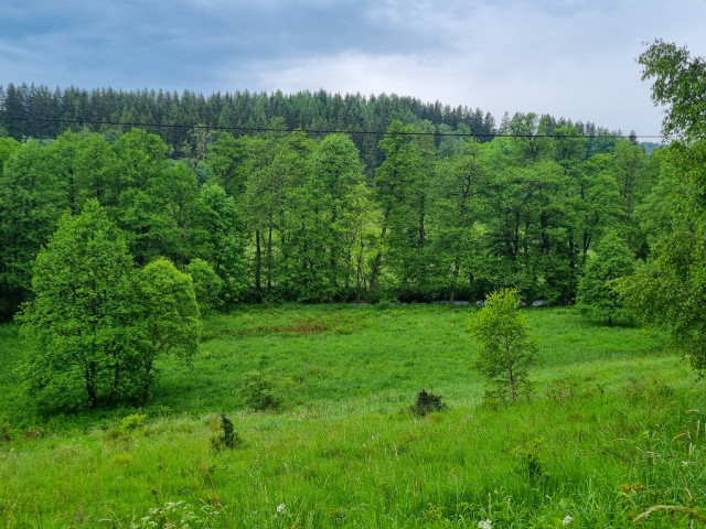 Działka Sprzedaż Niemojów